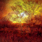 Copperlight