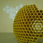 Beehive