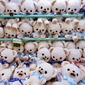 Choose a bear