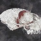 scull