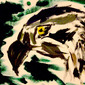 Bird Portrait