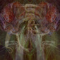 Teratoma Firma