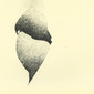 untitled (Origins sample)