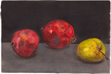 Collection Stillleben; created by Anthony Rumbach