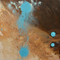 Oasis