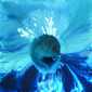 Heart of the Ocean