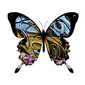 Butterfly graffiti No 1