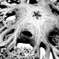 in the deep