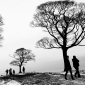 walking  through skeleton trees