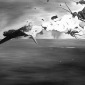 Torpedo Bomber vs. Wasps