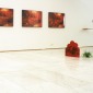"Little hedge hog" ( Homage to my brother and Sisycos) part of "Right here right now" Helsinki City Art Museum Gallery Kluuvi, Finland.