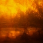 The river of life 