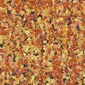 0257 Autumn Foliage