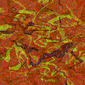 0404 Abstract Thought