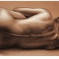 Bodyshape 2