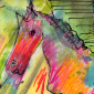 The Candy Horse