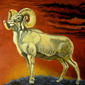 Almaia