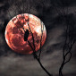 Red Moon Rising