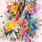 play_that_funky_music_wild