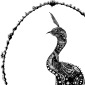 The Peacock