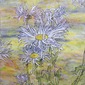 The Daisy Family