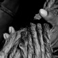Dreads in Hand