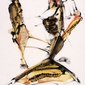 Untitled, 1999