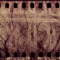Branches & Columns