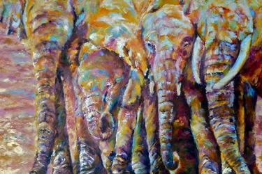 Collection Elephants; created by jan raats