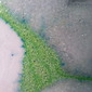 home 2