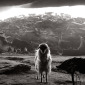Sacrificial goat, South Africa