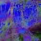 memory (i)