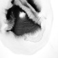 oeuf_003