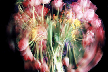 Collection 'Unstill Life'; created by Chris Spackman