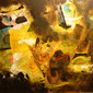 Carol Shapiro