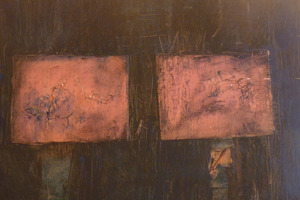 Carol Shapiro