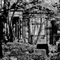 Ancient names fragments - Jewish cemetery in Gliwice