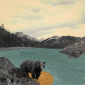 Animalia Canadiana; Ursus Americana