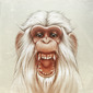 The White Angry Monkey