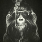 Smoke Em' If You Got Em'
