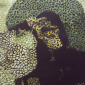 Piece_fiyingsnail