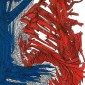 transformers # 3