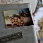 Old Photograph