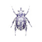 Delft Scarab