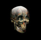 Skull V