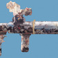 LAUNCHER THE REACH FOR THE HEAVENS DETAIL