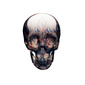 SKULL HEAVEN & HELL
