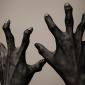 Hands - Tom 1763