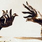 Physicians for Social Responsibility Peace Award (The Healing Touch)