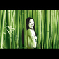 'Bamboo'